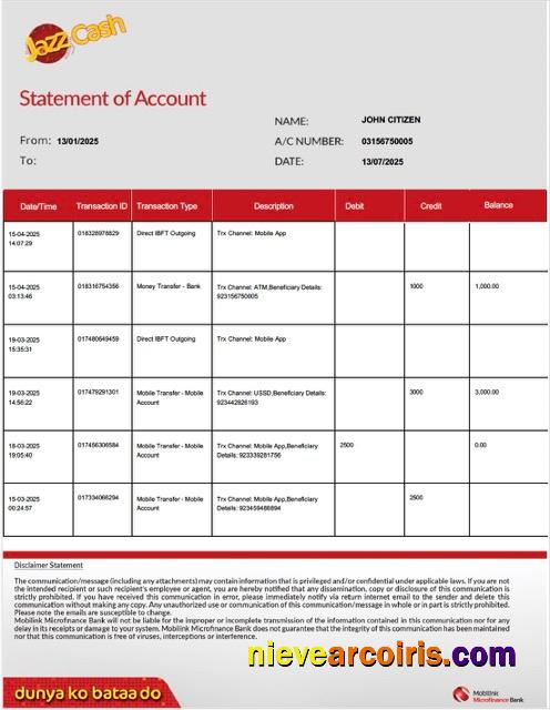 Pakistan Mobilink Microfinance Bank statement of account Word and PDF, version 2